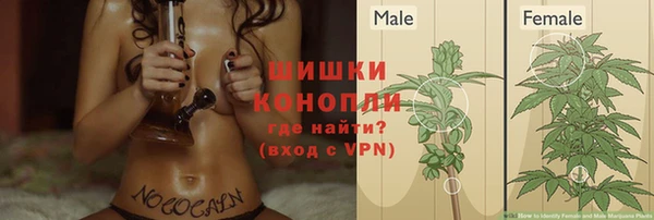 MESCALINE Богородицк